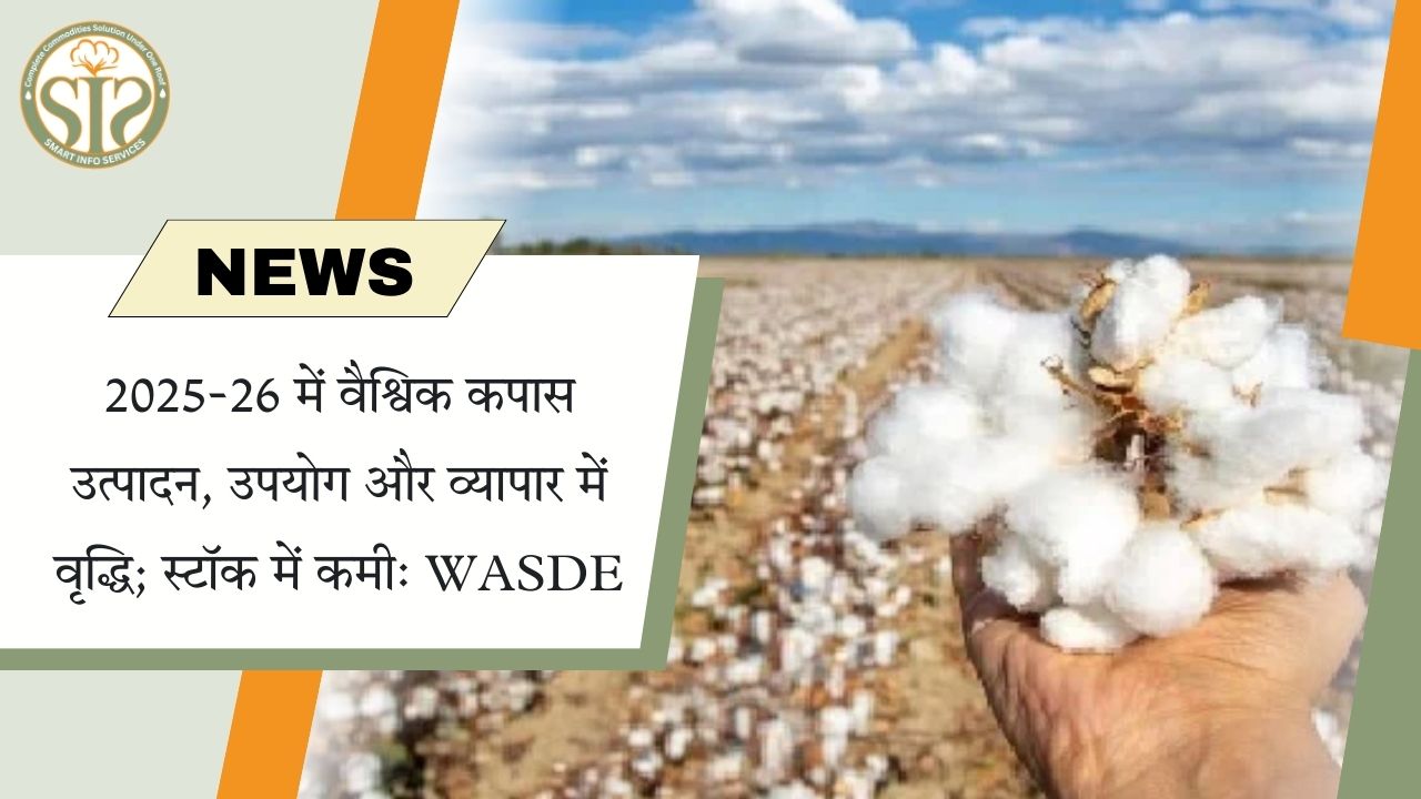 2025-26 में कपास उत्पादन-उपयोग बढ़ा, स्टॉक घटा: WASDE