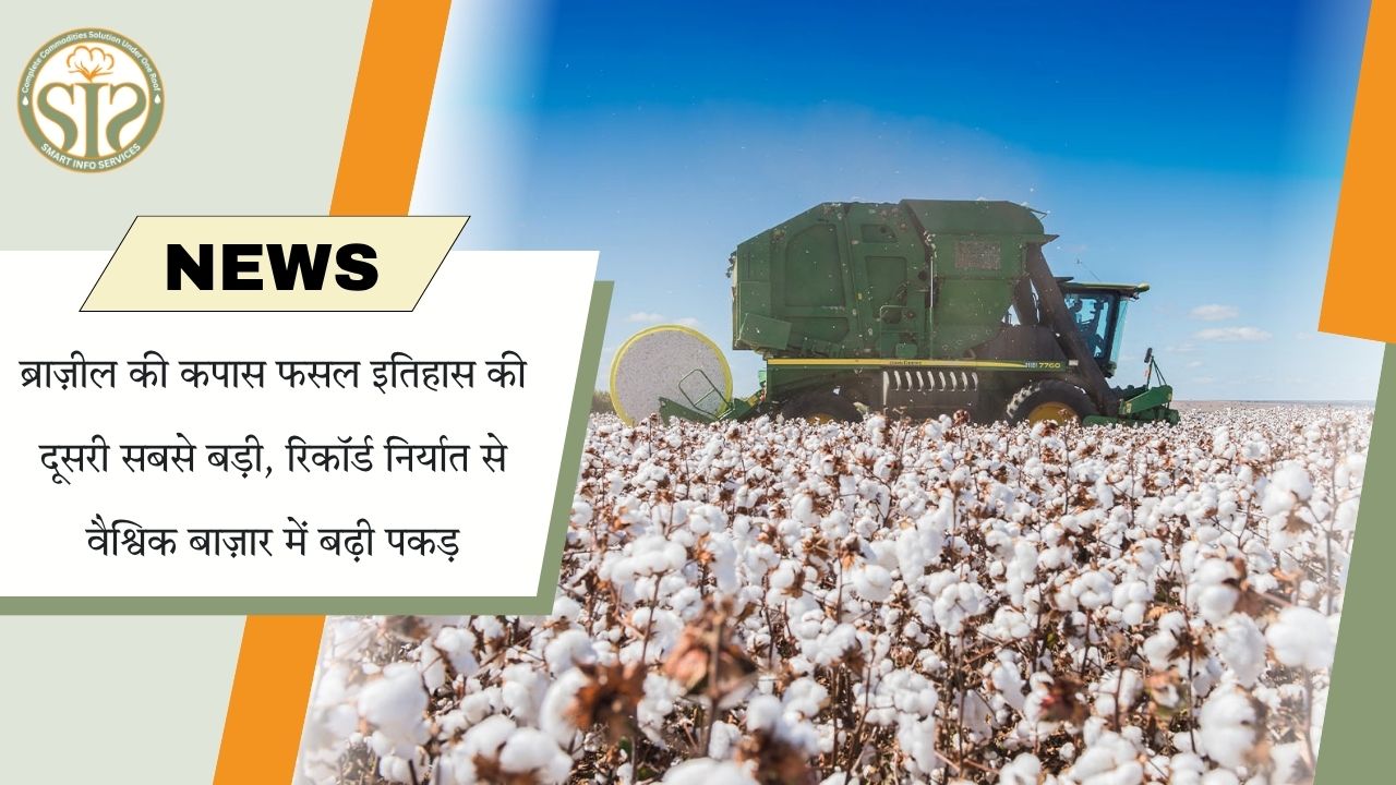 ब्राजील का कपास निर्यात रिकॉर्ड पर