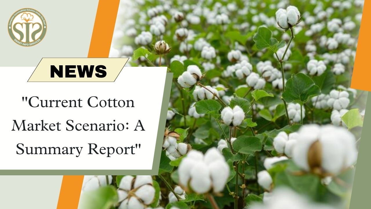 "Current Cotton Market Scenario: A Summary Report"