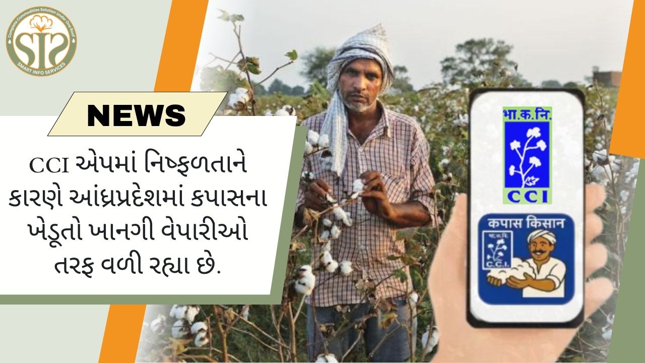 CCI એપ નિષ્ફળ ગઈ, કપાસના ખેડૂતો ખાનગી બજાર તરફ વળ્યા