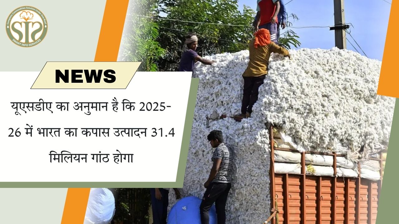 USDA: 2025-26 में भारत का कपास उत्पादन 31.4 मिलियन गांठ अनुमानित