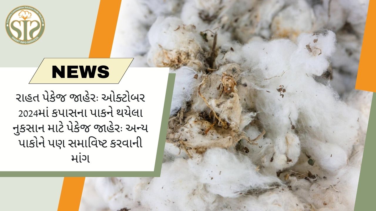 ઓક્ટોબર 2024 પાકનું નુકસાન: કપાસ રાહત પેકેજની જાહેરાત, અન્ય પાકોની માંગ