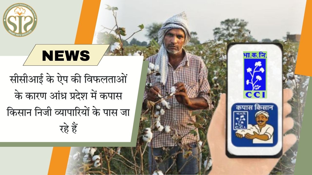 सीसीआई ऐप फेल, कपास किसान निजी बाजार की ओर