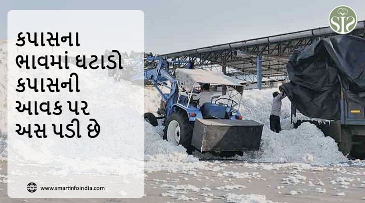 કપાસના ભાવમાં ઘટાડાથી કપાસની આવક પર અસર પડી હતી.