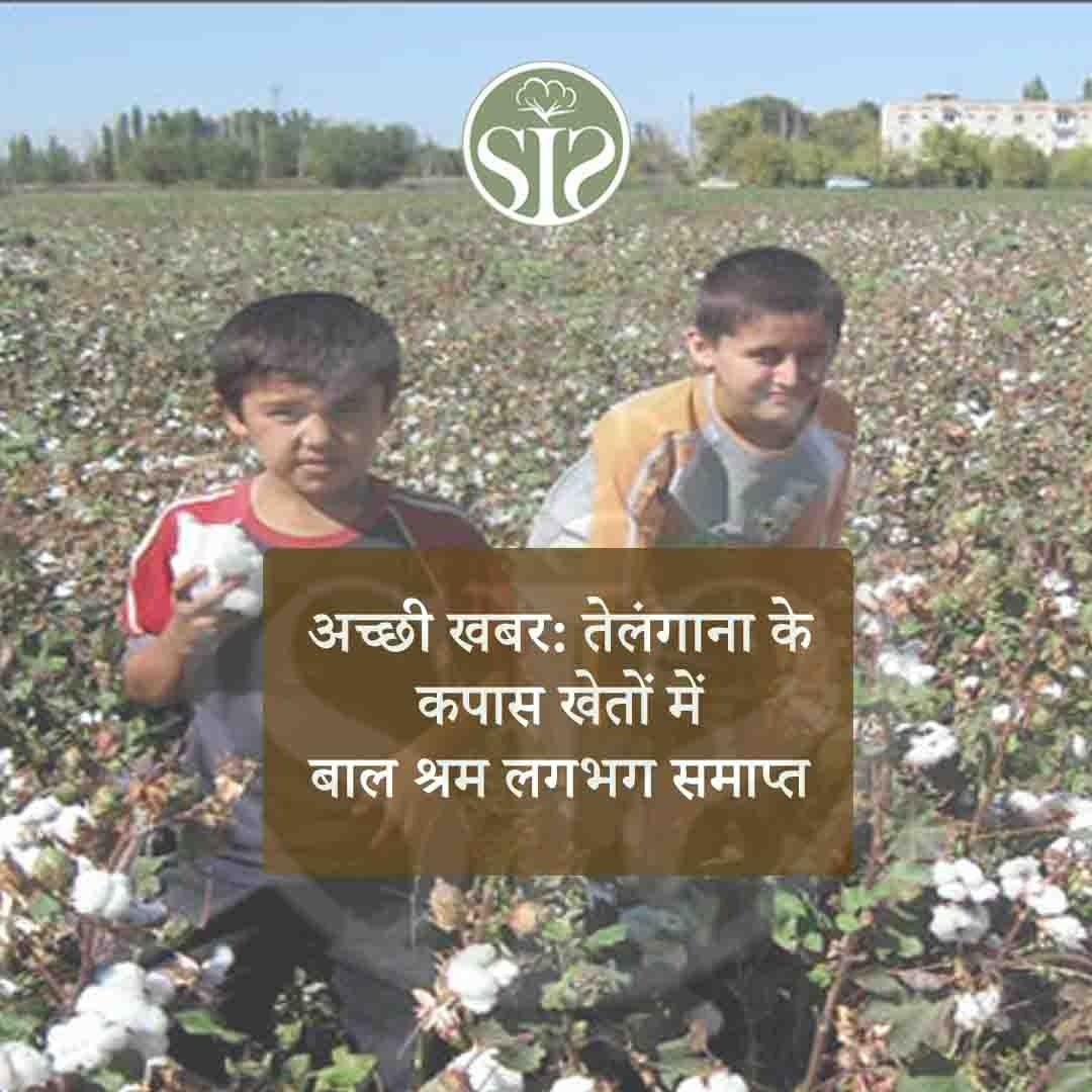 Good news: child labor almost eliminated in Telangana's cotton fields