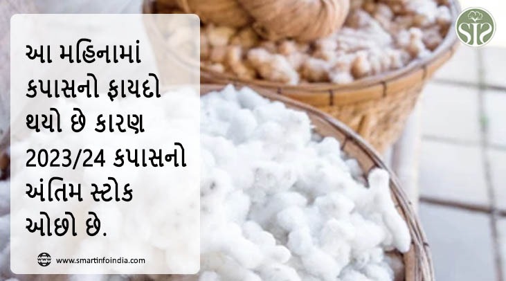 આ મહિનામાં કપાસનો ફાયદો થયો છે કારણ 2023/24 કપાસનો અંતિમ સ્ટોક ઓછો છે.
