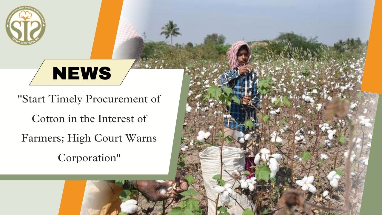 "Start Timely Procurement of Cotton in the Interest of Farmers; High Court Warns Corporation"