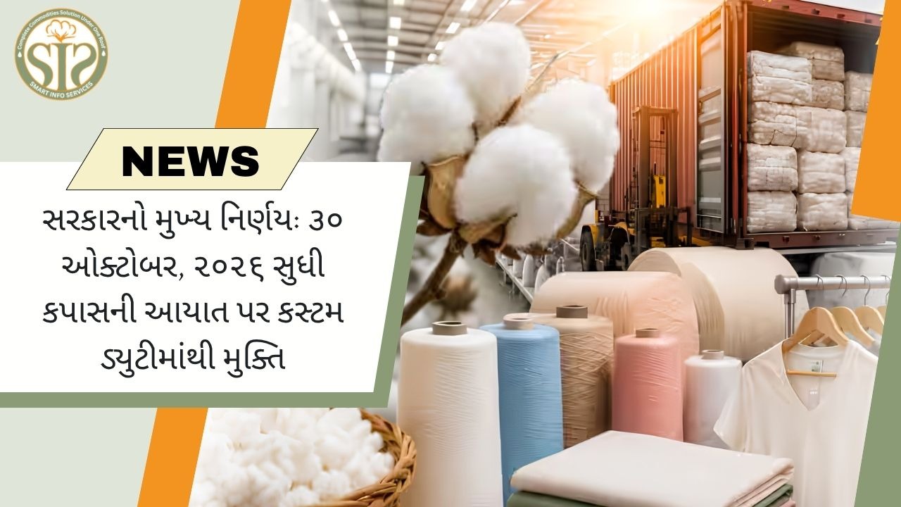 સરકારે ઓક્ટોબર 2026 સુધી કપાસ આયાત શુલ્ક માફ કર્યું