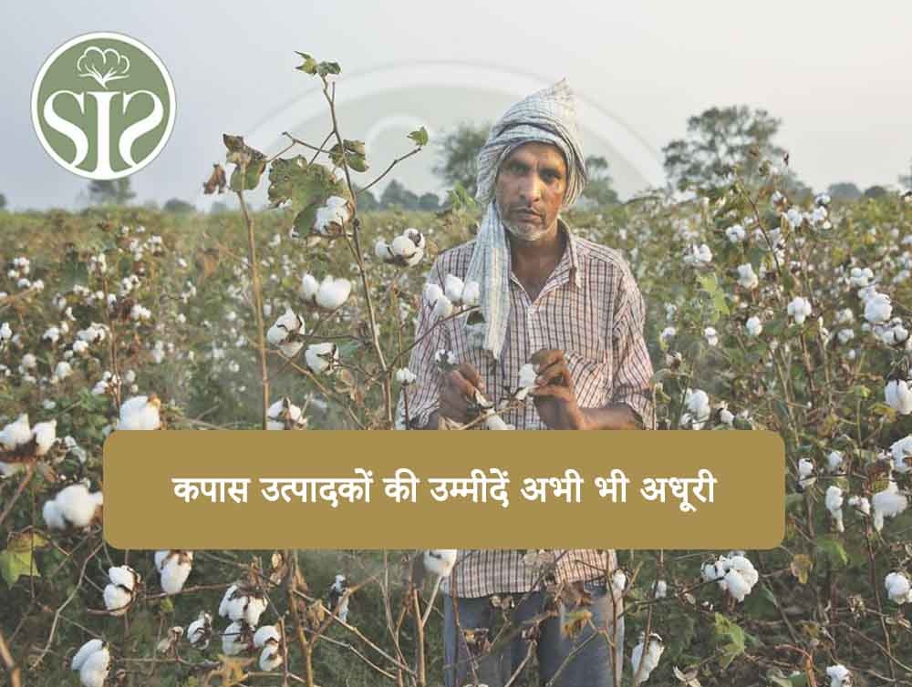 कपास उत्पादकों की उम्मीदें अभी भी अधूरी