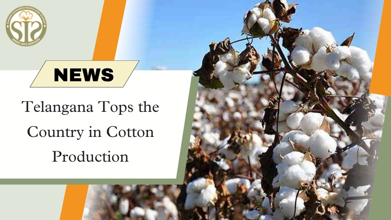 Telangana tops in cotton production