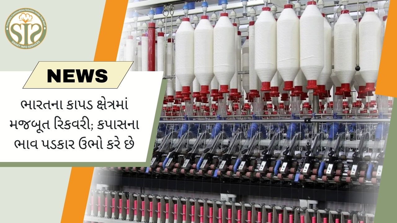 ભારતના ટેક્સટાઇલ સેક્ટરમાં રિકવરી તેજ