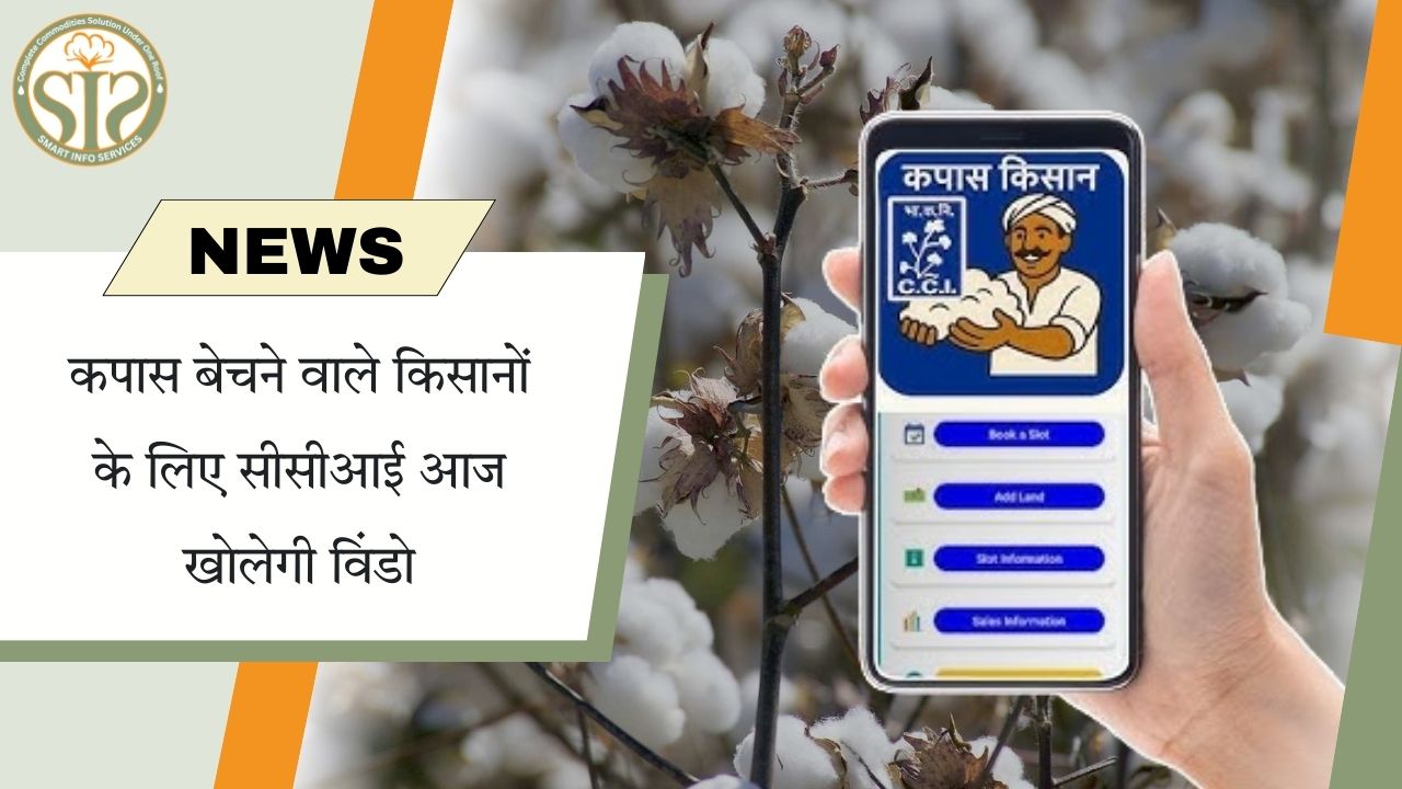 कपास किसानों के लिए आज सीसीआई खरीदी शुरू