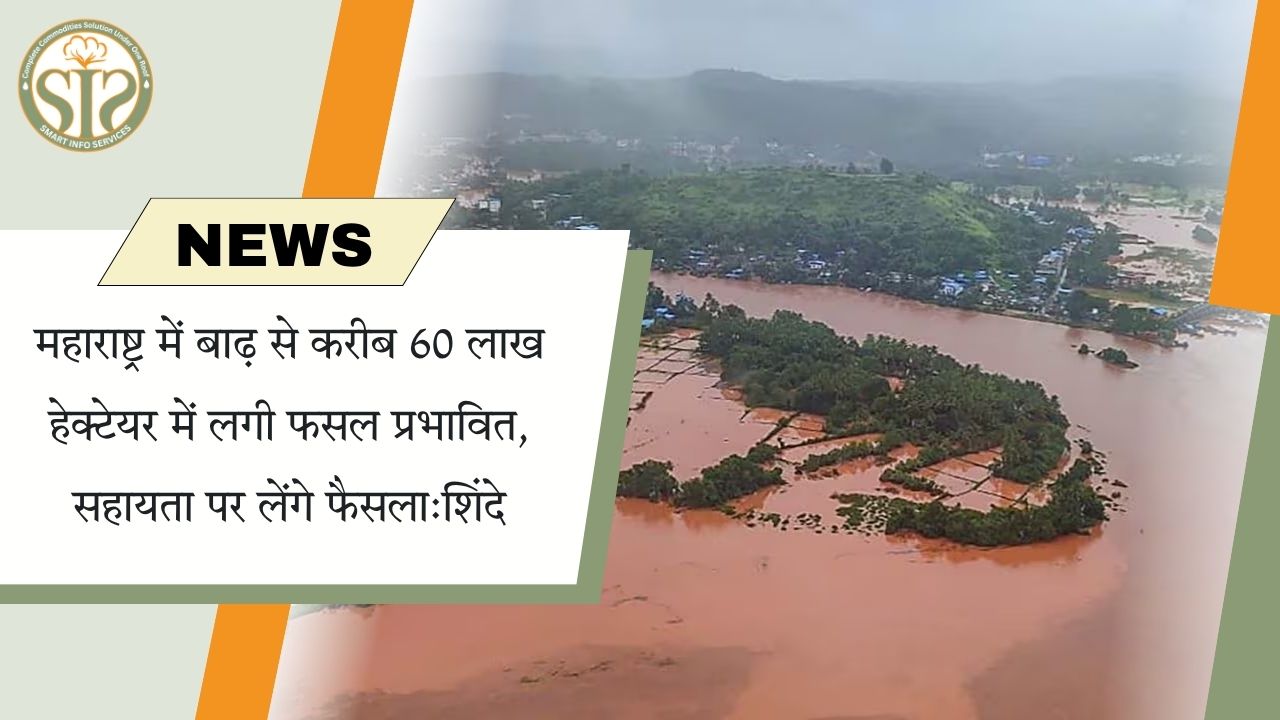60 लाख हेक्टेयर फसल बर्बाद, मदद पर फैसला होगा: शिंदे