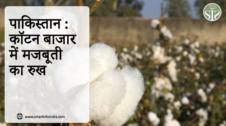 *पाकिस्तान : कॉटन बाजार में मजबूती का रुख*