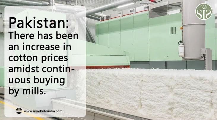 Pakistan: The spot price of cotton has increased amid continuous purchase of mills.