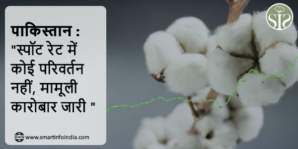 पाकिस्तान : "स्पॉट रेट में कोई परिवर्तन नहीं, मामूली कारोबार जारी "