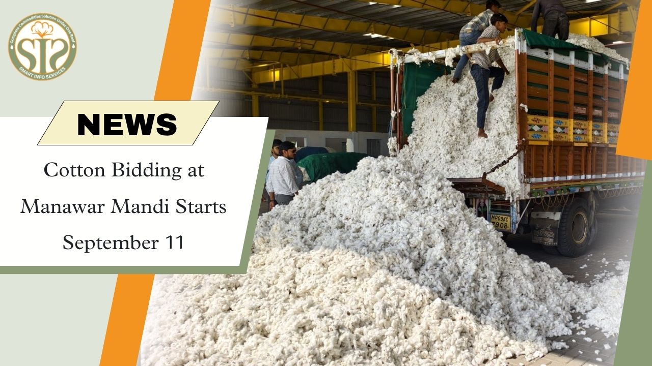 Manawar Cotton Auctions Start September 11