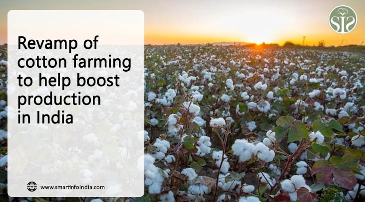 Revamp of cotton farming to help boost production in India