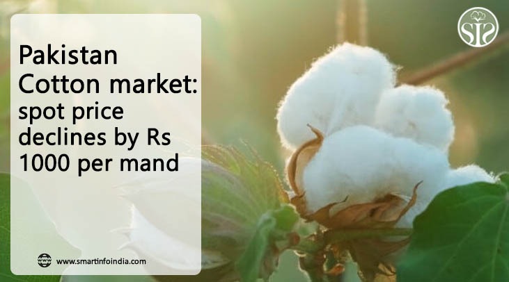 Pakistan: Cotton market: spot price declines by Rs 1000 per maund