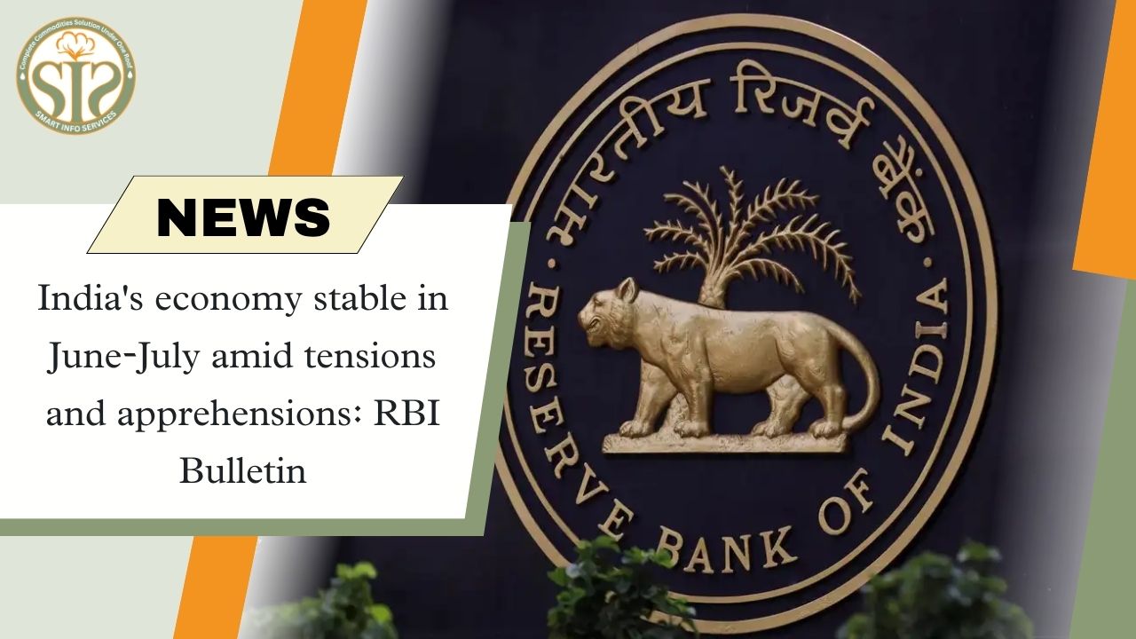 Indian economy remained stable in June-July: RBI