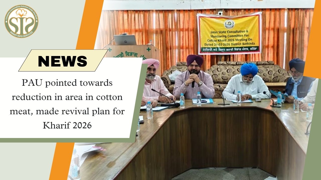PAU: Cotton area reduced, revival plan for 2026