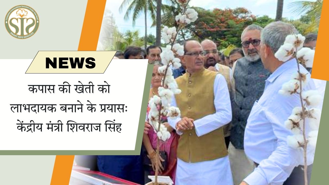 कपास की खेती को लाभदायक बनाने की पहल: शिवराज सिंह