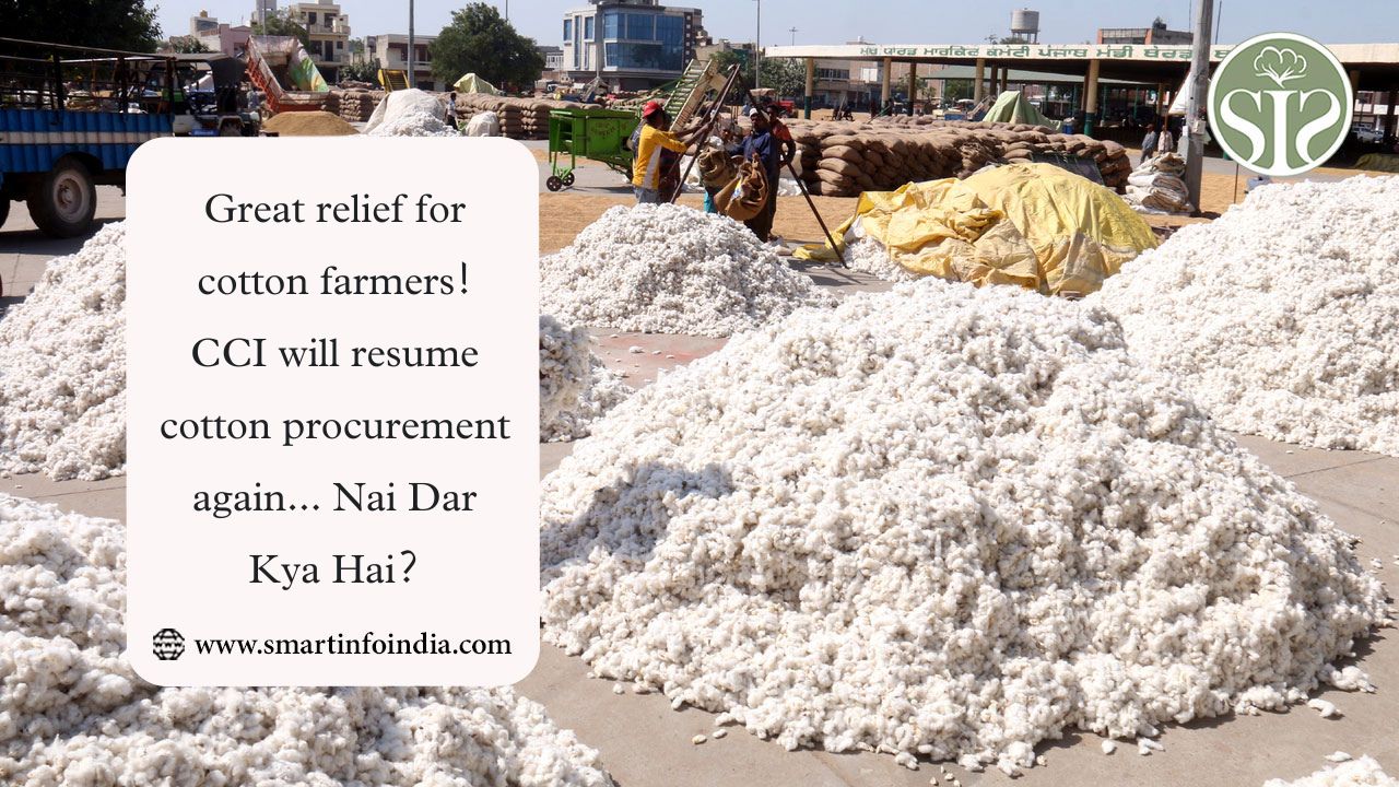 Great relief for cotton farmers! CCI will resume cotton procurement again... Nai Dar Kya Hai?