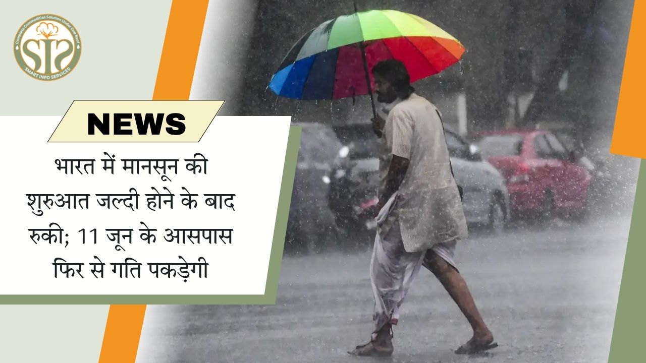 भारत में मानसून की शुरुआत जल्दी होने के बाद रुकी; 11 जून के आसपास फिर से गति पकड़ेगी