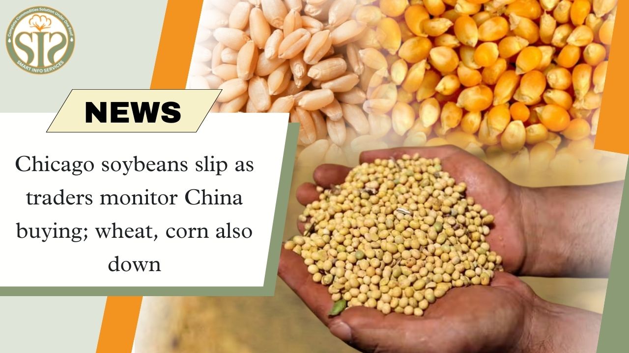 Eye on China purchases, Chicago soybean and wheat-corn weak