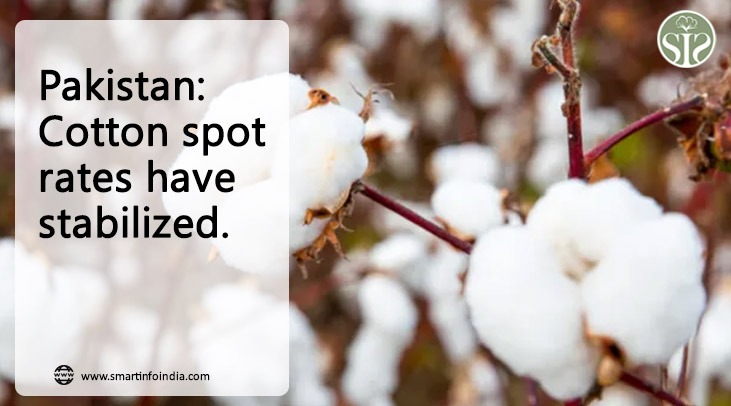 Pakistan: Cotton spot rate remains stable