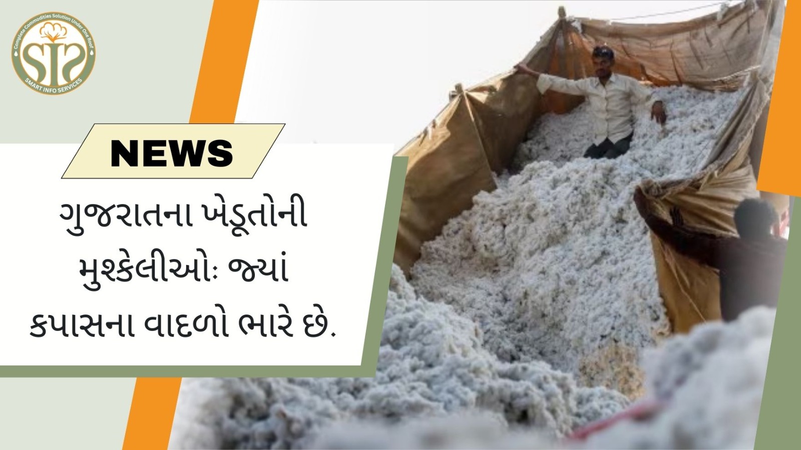 "કપાસના ભાવ ઘટવાથી ખેડૂતો ચિંતિત"