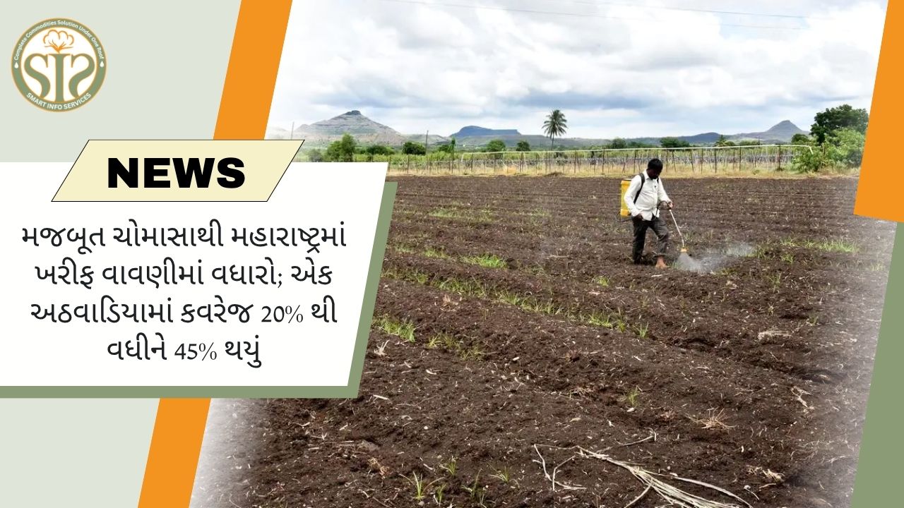મજબૂત ચોમાસાથી મહારાષ્ટ્રમાં ખરીફ વાવણી તેજ, એક સપ્તાહમાં આવરણ 20%થી વધીને 45%