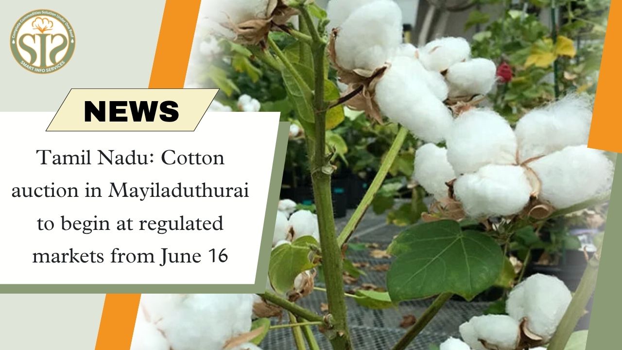 Tamil Nadu: Cotton auction in Mayiladuthurai to begin at regulated markets from June 16