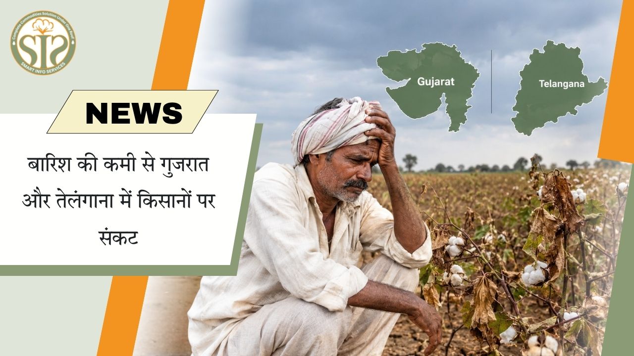 गुजरात-तेलंगाना में बारिश की कमी से किसान संकट में