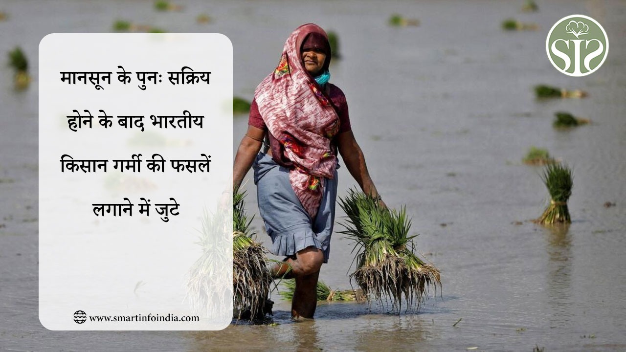 मानसून के पुनः सक्रिय होने के बाद भारतीय किसान गर्मी की फसलें लगाने में जुटे