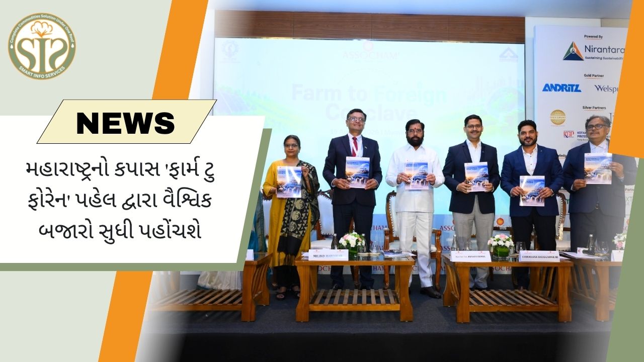 મહારાષ્ટ્રનો કપાસ વૈશ્વિક બજારમાં પહોંચશે