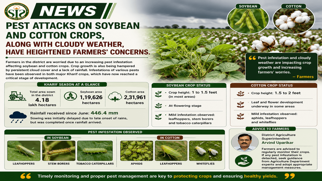 Pest Attacks on Soybean and Cotton Crops Raise Farmer Concerns