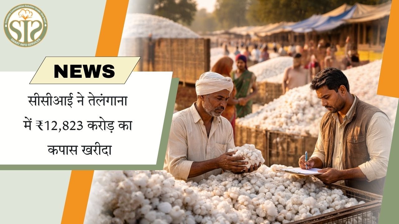 तेलंगाना में CCI की ₹12,823 करोड़ की कपास खरीद