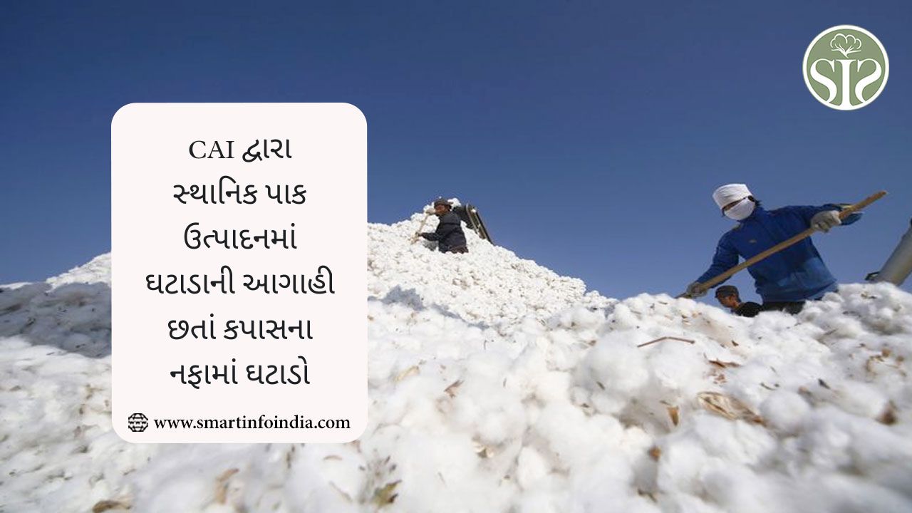 CAI દ્વારા સ્થાનિક પાક ઉત્પાદનમાં ઘટાડાની આગાહી છતાં કપાસના નફામાં ઘટાડો