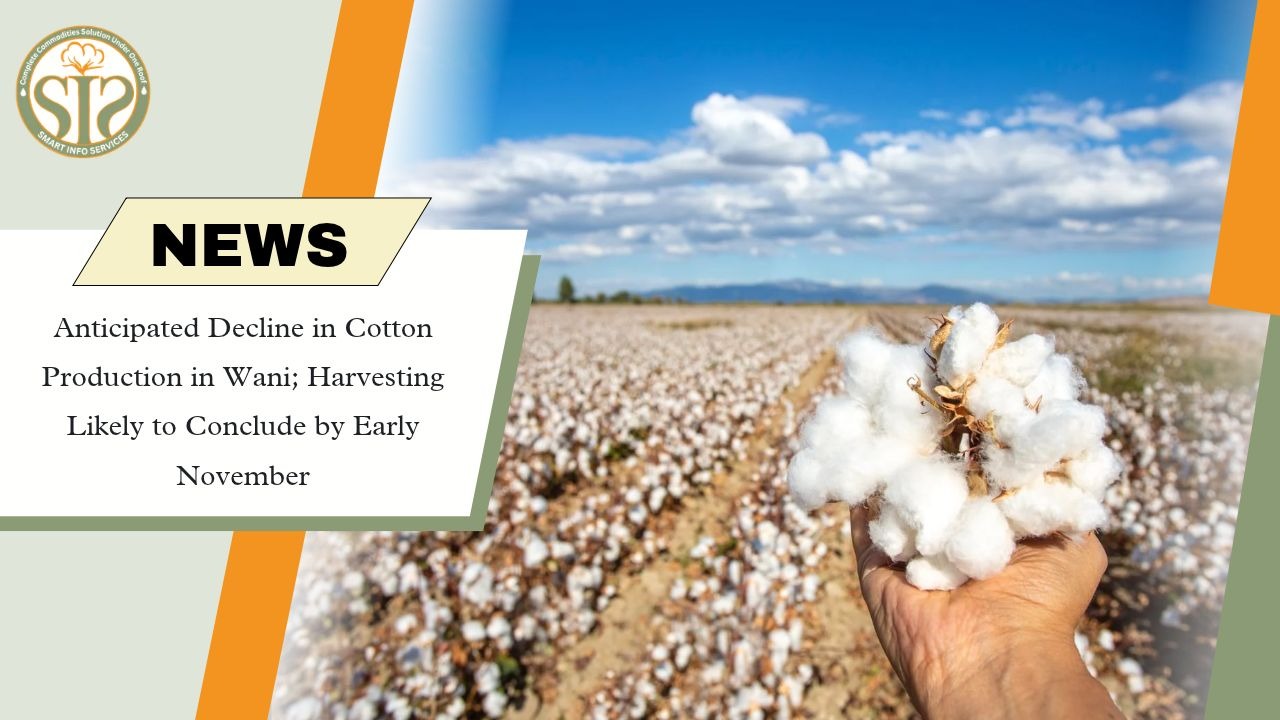 Wani Cotton Production Likely to Decline