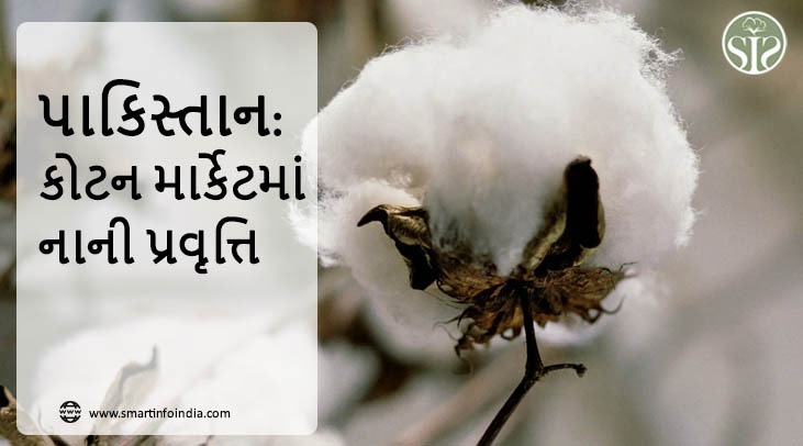પાકિસ્તાન: બિઝનેસ માર્કેટમાં અંતિમ પ્રસ્તુતિ