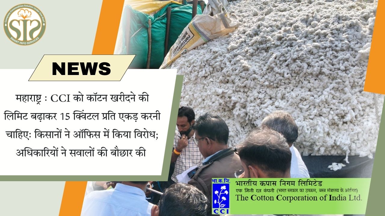 किसानों की मांग: CCI कपास खरीद सीमा 15 क्विंटल हो