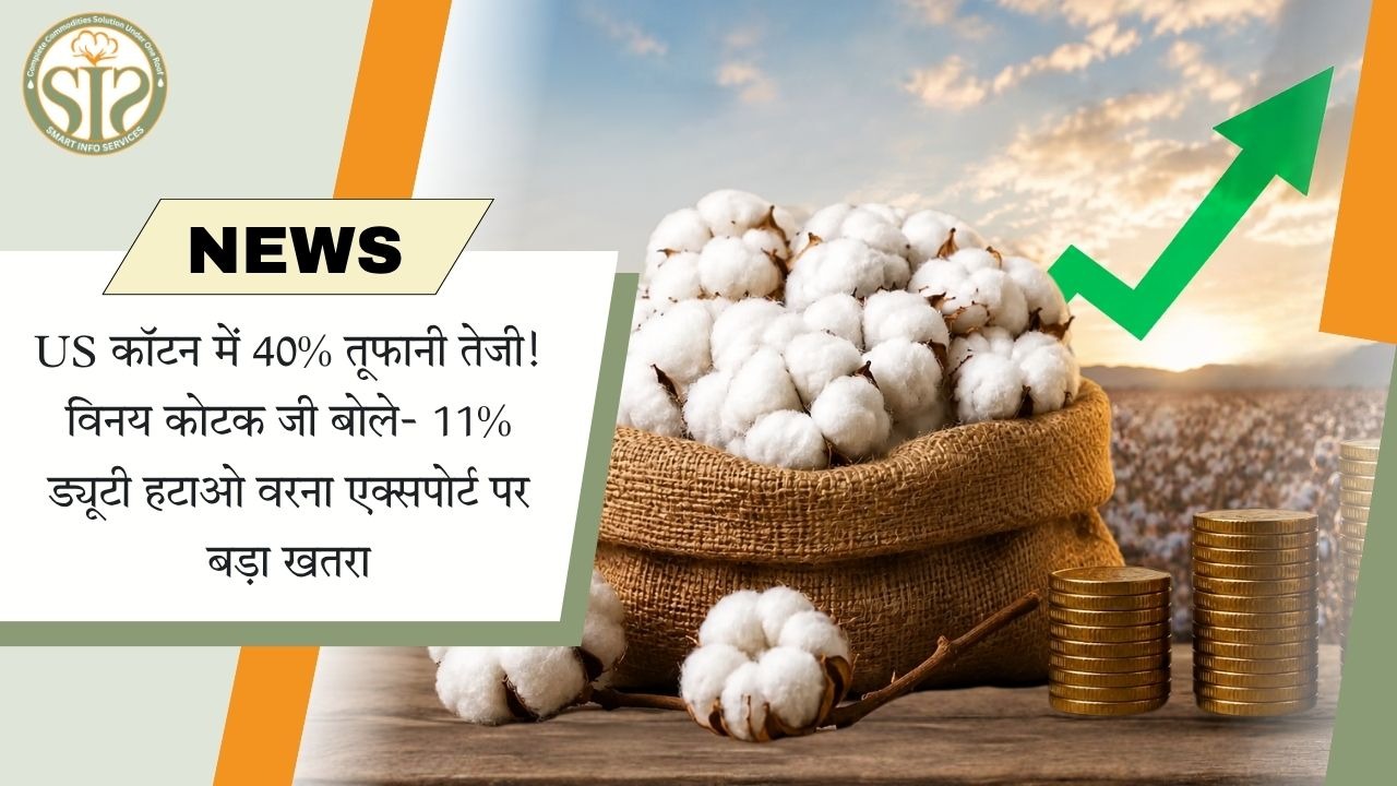 अमेरिकी कपास में 40% उछाल, 11% आयात शुल्क हटाने की मांग; निर्यात पर संकट की चेतावनी