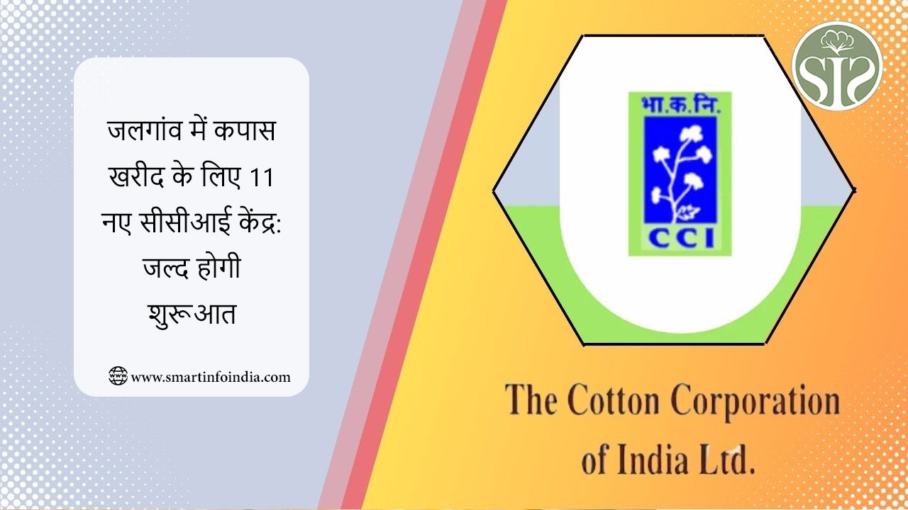 जलगांव में कपास खरीद के लिए 11 नए सीसीआई केंद्र: जल्द होगी शुरूआत