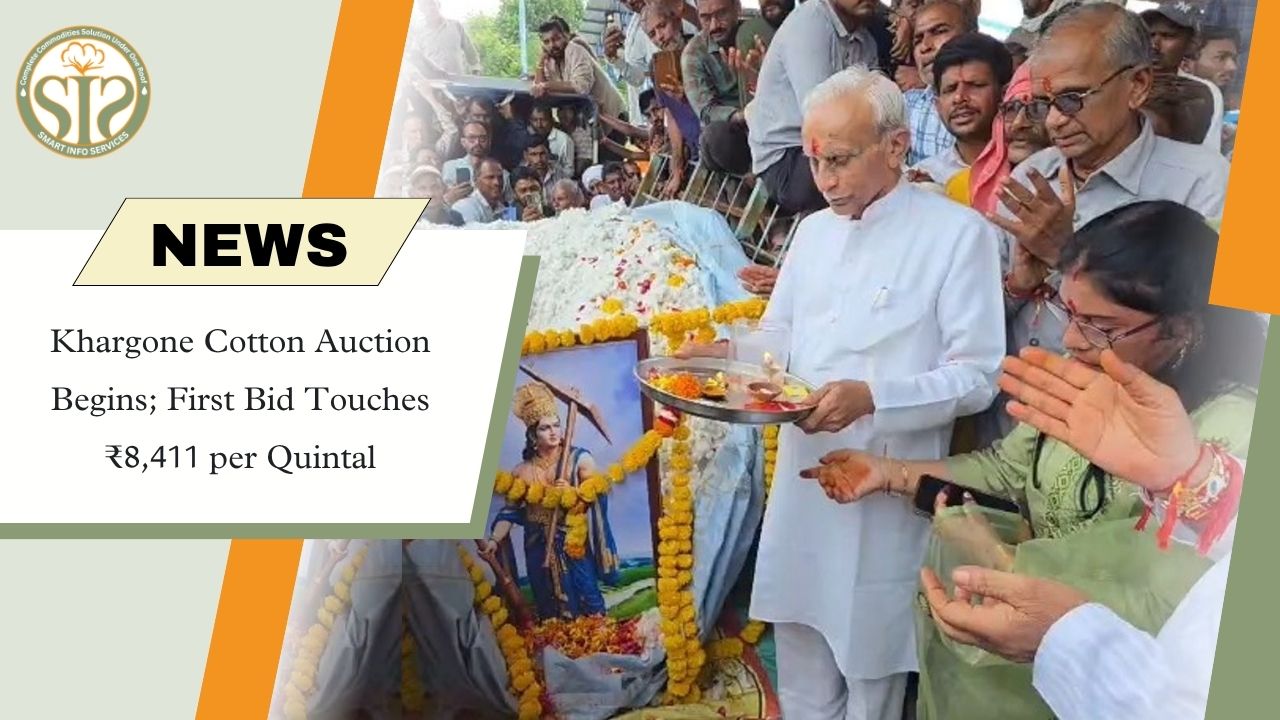 Khargone Cotton Auction Opens at ₹8,411