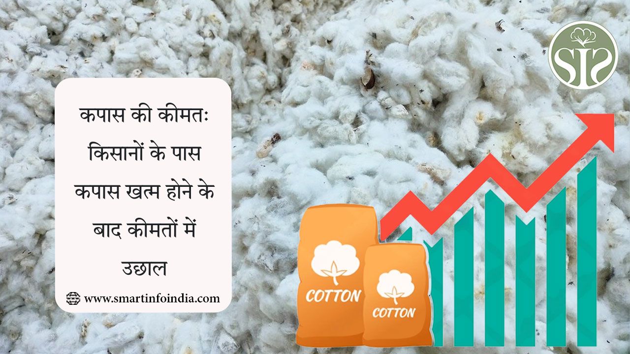 किसानों के पास कपास ख़त्म, कीमतें बढ़ीं