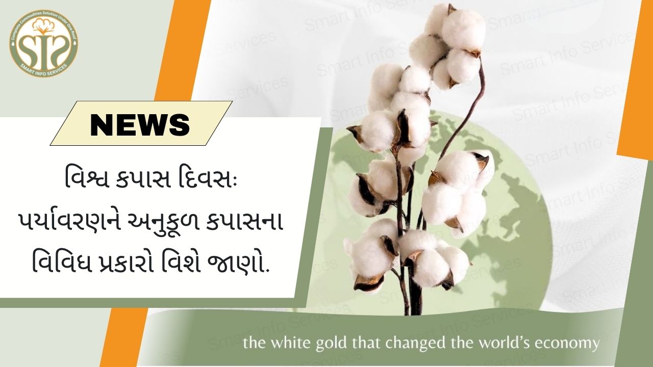 પર્યાવરણને અનુકૂળ કપાસ: વિશ્વ કપાસ દિવસ વિશેષ