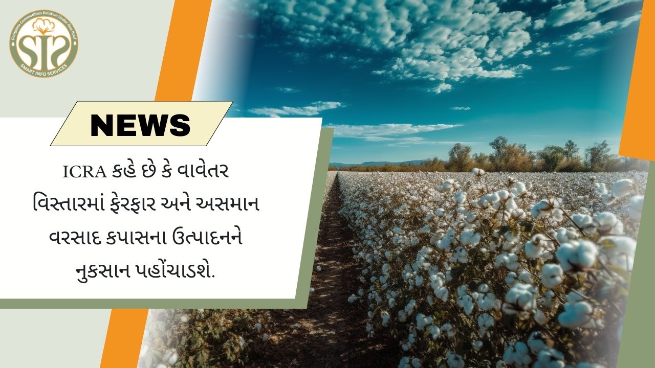 ICRA ચેતવણી આપે છે: કપાસના ઉત્પાદનમાં ઘટાડો થશે