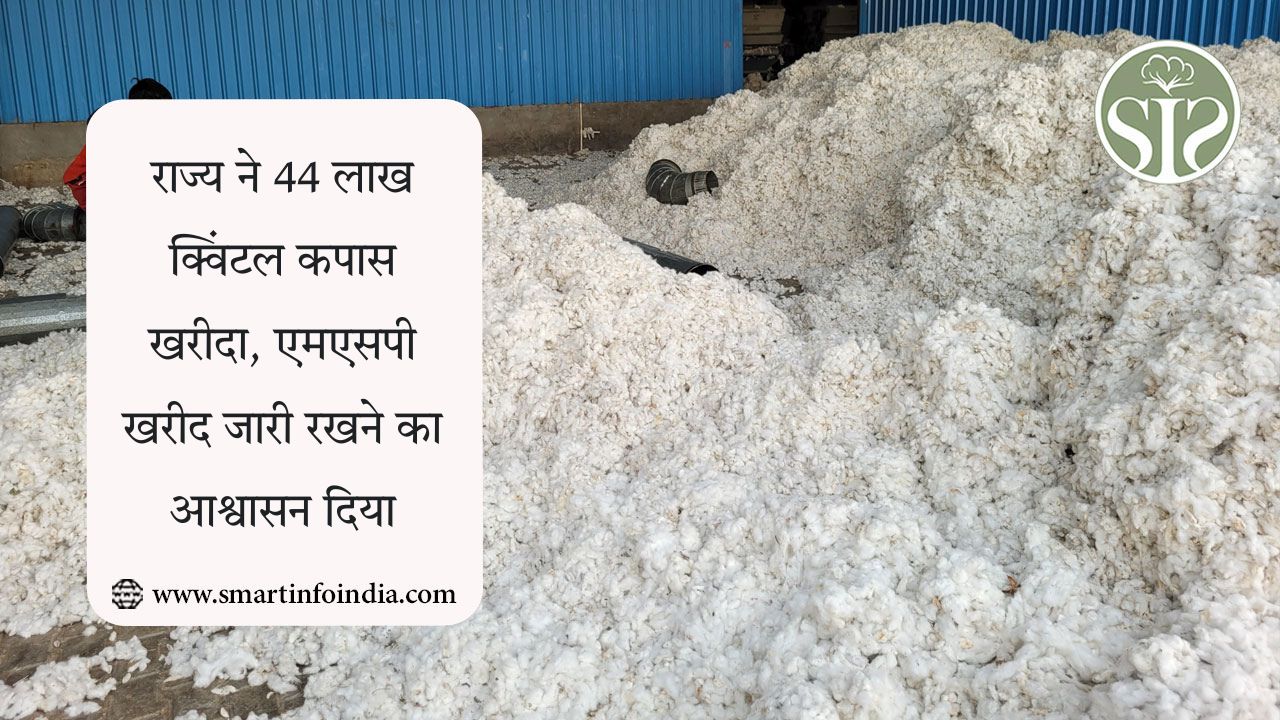 राज्य ने 44 लाख क्विंटल कपास खरीदा, एमएसपी खरीद जारी रखने का आश्वासन दिया
