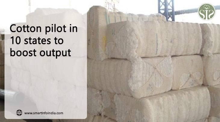 Cotton pilot in 10 states to boost output